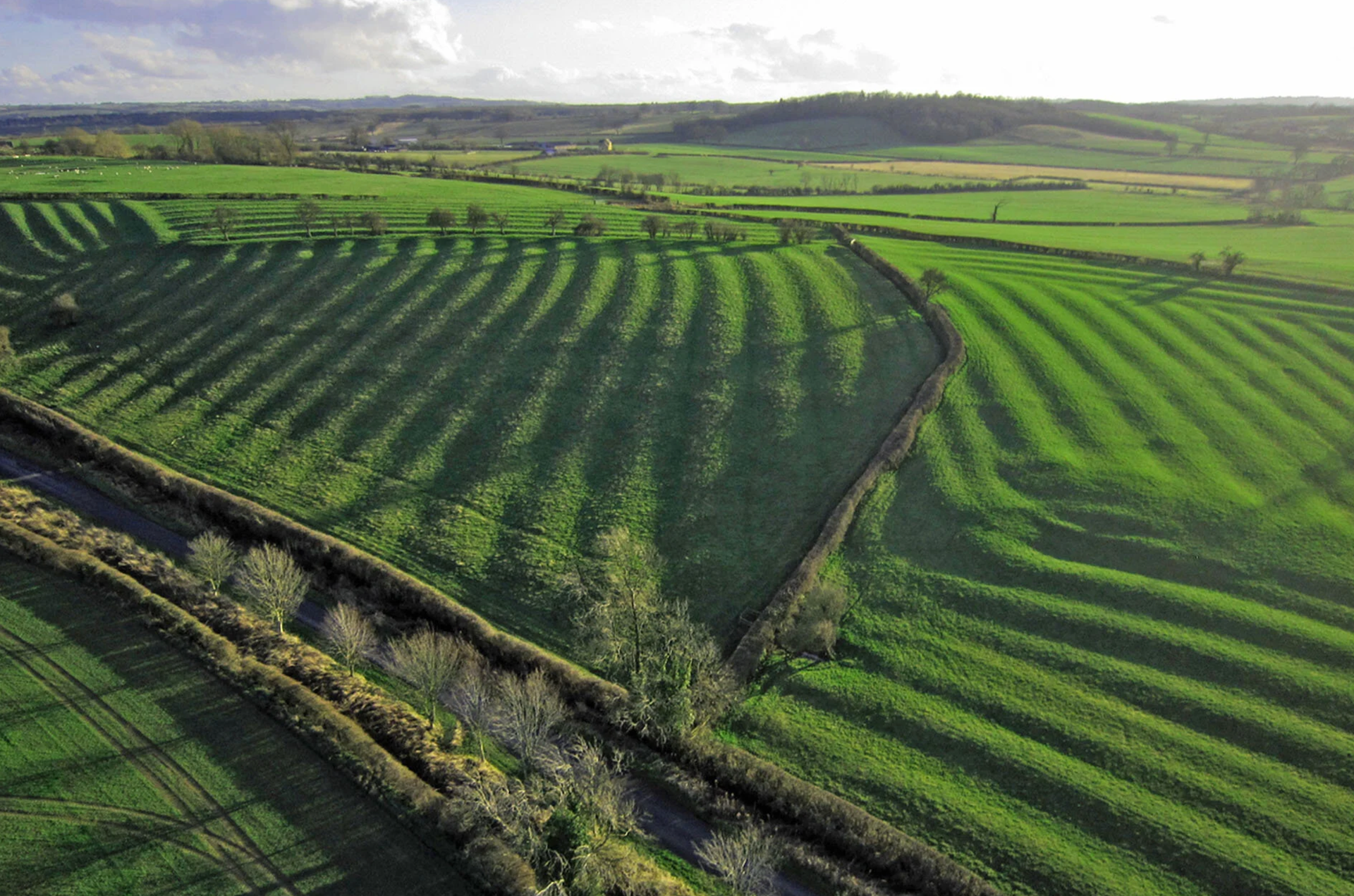 TWIL #56: From Crooked Fields to Napoleonic Veterans