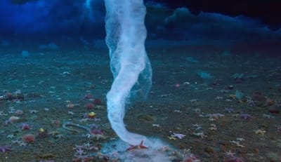 TWIL #58: Van Veluwse IJzerindustrie tot Brinicles