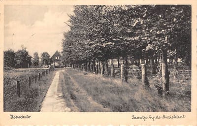 TWIL #57: From Soil and Soul to Blue Spirits